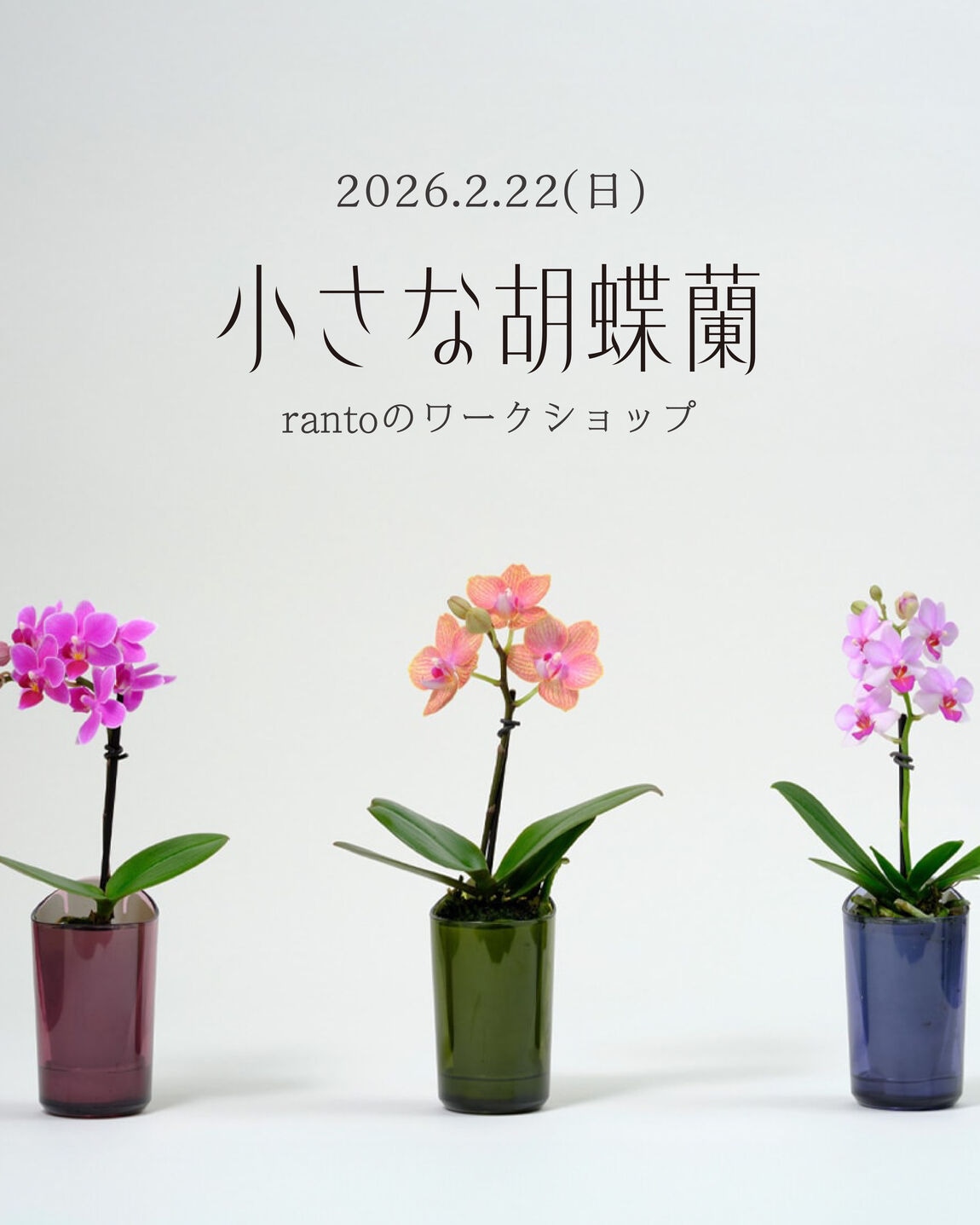 阪急西宮ガーデンズ】小さな胡蝶蘭rantoのワークショップ｜無印良品